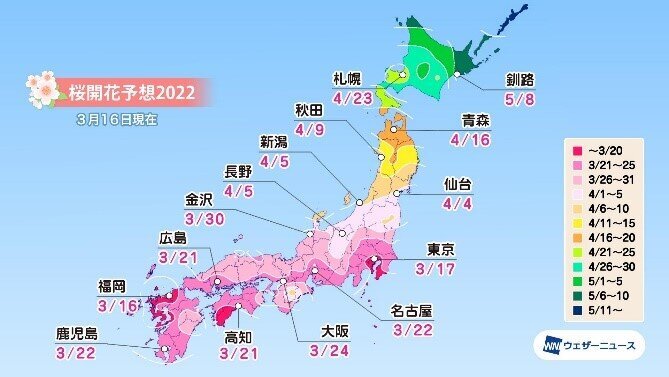 桜開花予想2022